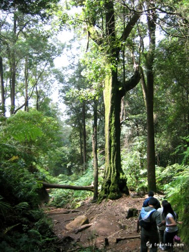 Tangkuban Perahu, Indonesia
