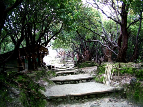 Tangkuban Perahu, Indonesia